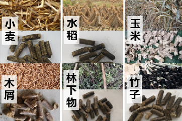 首页| 888集团电子游戏官方网站